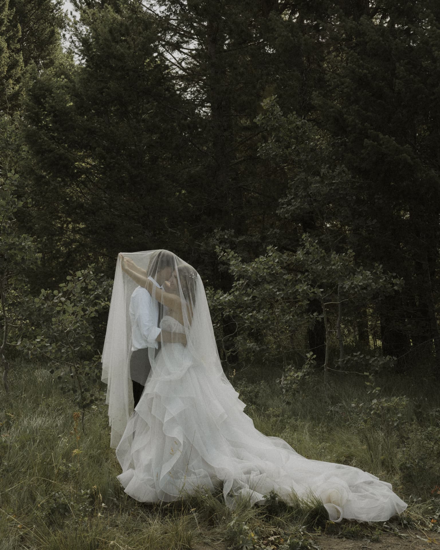 A bride and groom wrapped in her veil in a green pine forest